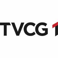 TVCG 1